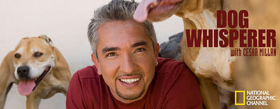 Cesar-Millan-the-dog-whisperer