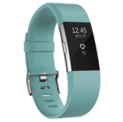 Fitbit Fitbit