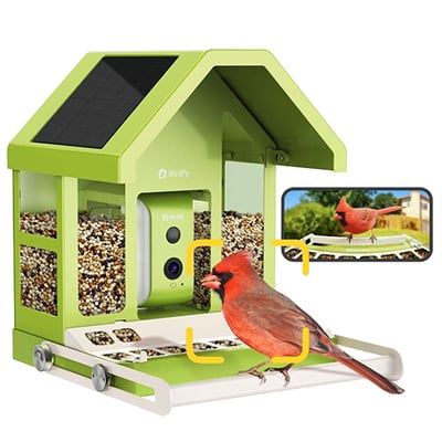 Birdfy Smart Bird Feeder unique employee gift